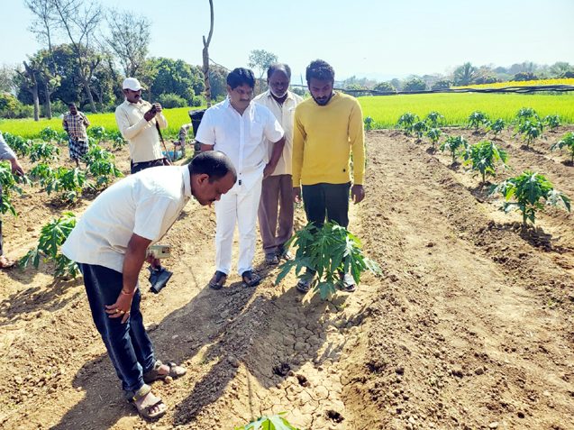 అనంతరాజుపేట పరిసరాల్లో చిరుత సంచారం