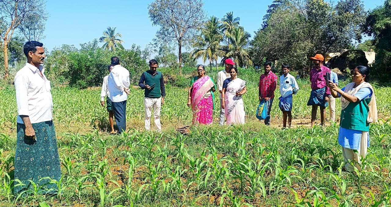 - పంట నమోదు చేస్తున్న వ్యవసాయాధికారులు (ఫైల్‌ఫొటో)