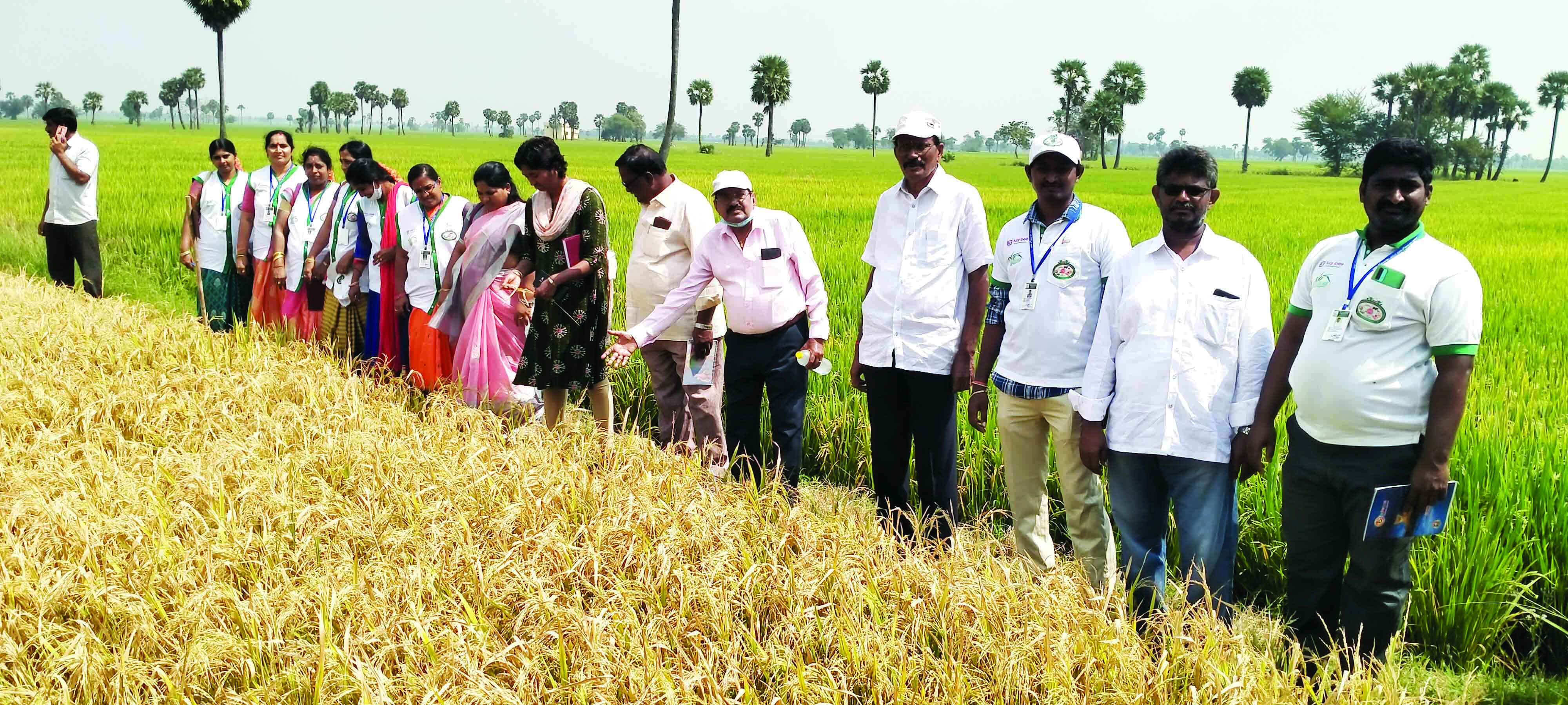 వ్యవసాయానికి తొలి ప్రాధాన్యత అవసరం