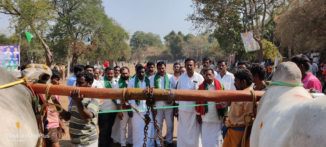 ఓంకారంలో ఎద్దుల బల ప్రదర్శన పోటీలను ప్రారంభిస్తున్న దృశ్యం