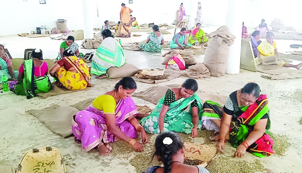 ఆందోళనలో కాఫీ క్యూరింగ్‌ కూలీలు