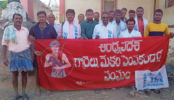 demand-for-free-insurance