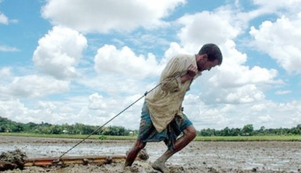 Average-farmer-debt-in-AP-is-Rs-245554