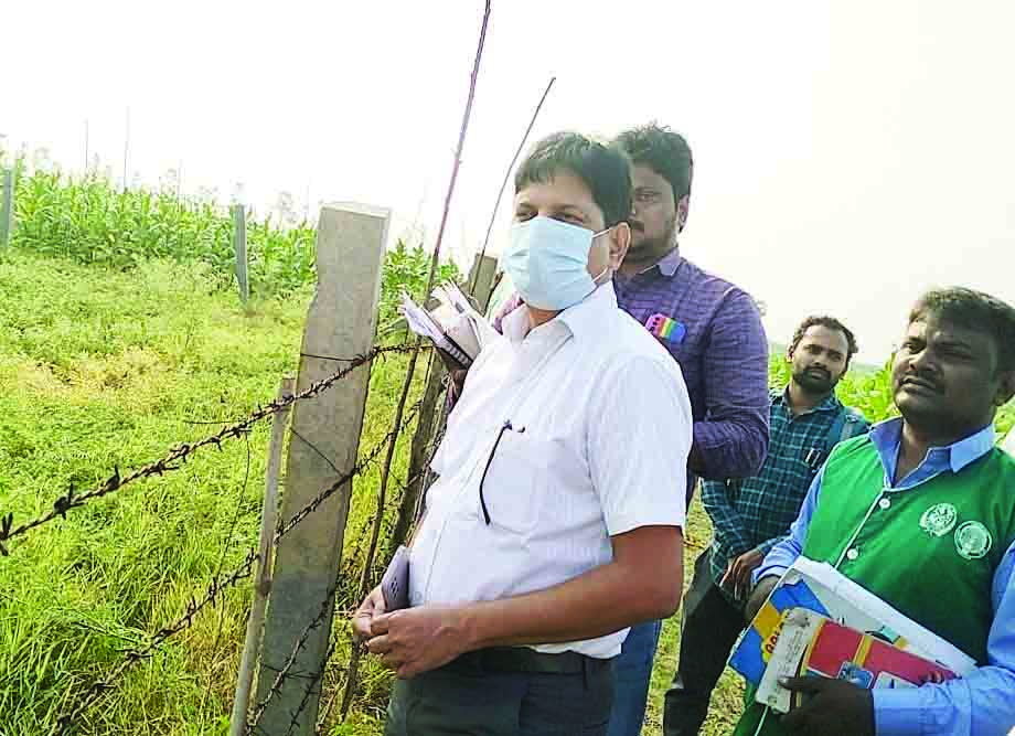 పంటలను పరిశీలించిన జెసి