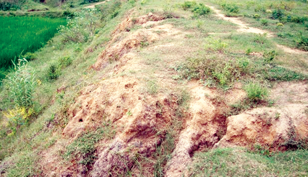 construction-works-of-Vamsdhara-and-Nagavali-dams-have-not-reached-conclusion-even-today