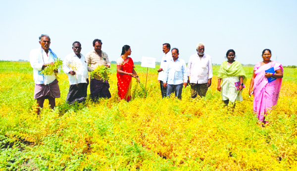 నూతన వంగడాల పట్ల రైతుల ఆసక్తి