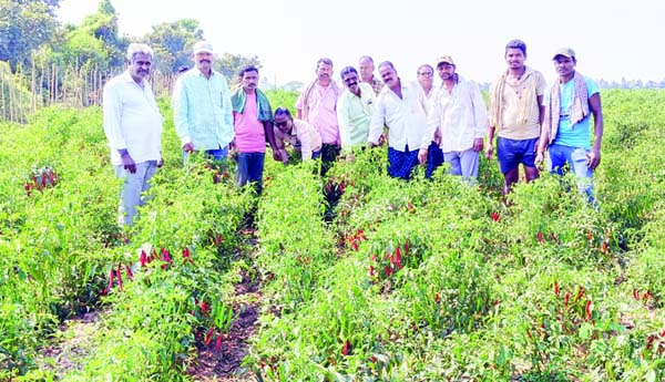 మిర్చి రైతులకు అధికారులు సహకరించాలి