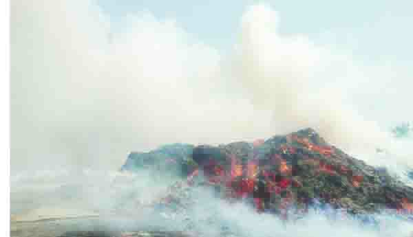 పరిశ్రమలో పీచు దగ్ధం