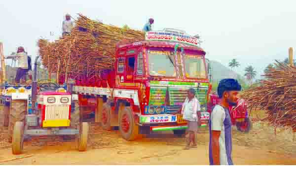 లారీల్లో ఇతర జిల్లాలకు తరలిస్తున్న చెరకు