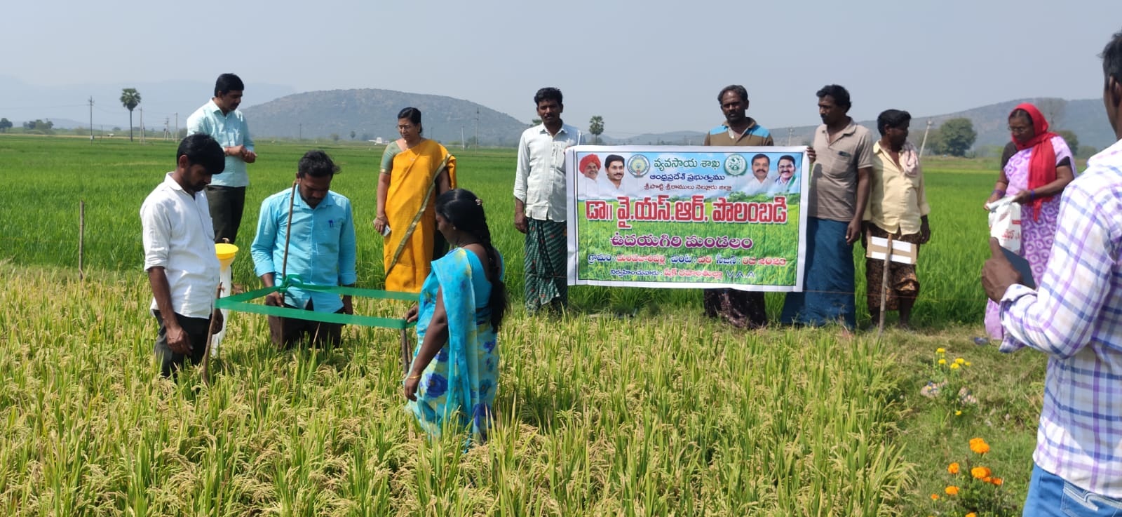 ప్రకృతి వ్యవసాయంతో అధిక దిగుబడులు