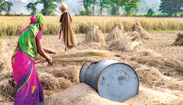 union-budget-2023-allocations-agriculture-FCI-neglect-bjp-govt-impacts-article-by-n-venugopalarao