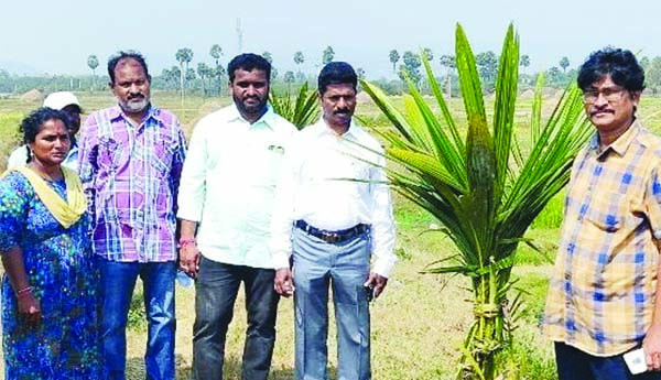 ఉపాధి హామి పనుల పరిశీలన