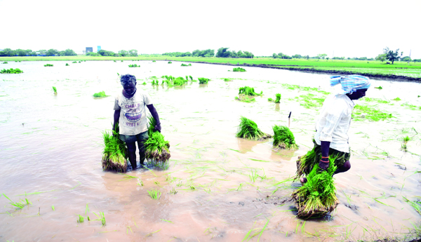 Cut-interest-subsidy-on-farmer-loans