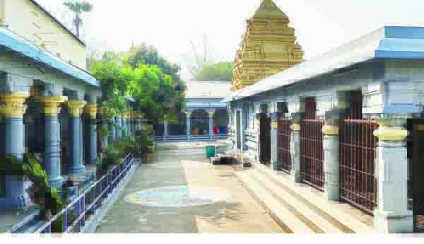 వెంకన్న ఉత్సవాలకు ముమ్మర ఏర్పాట్లు