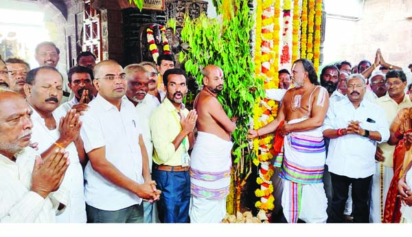 వైభవంగా వెంకన్న పెళ్లి రాట