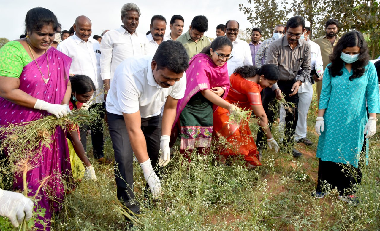 వయ్యారిభామ మొక్కలు నివారిద్దాం : కలెక్టర్‌