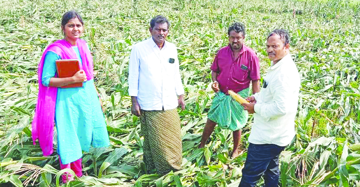 రైతులకు నష్టపరిహారం అందించేందుకు చర్యలు