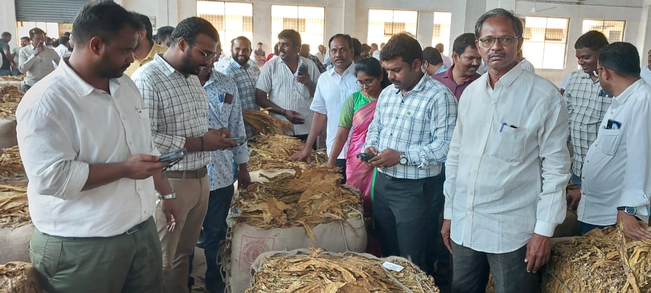 వర్జీనియా పొగాకు కొనుగోళ్లు ప్రారంభం