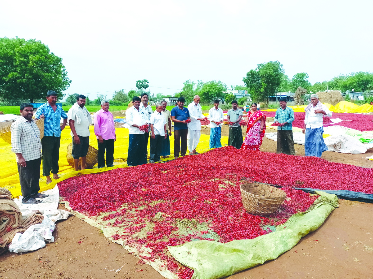 తడిసిన పంటలను ప్రభుత్వమే కొనుగోలు చేయాలి : సిపిఎం