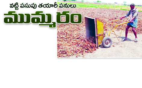 వట్టి పసుపు తయారీ పనులు ముమ్మరం