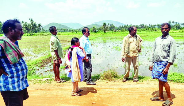 పంట నష్టంపై ఆరా