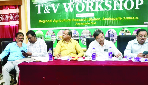 రబి పంటలతో రైతులకు లాభాలు