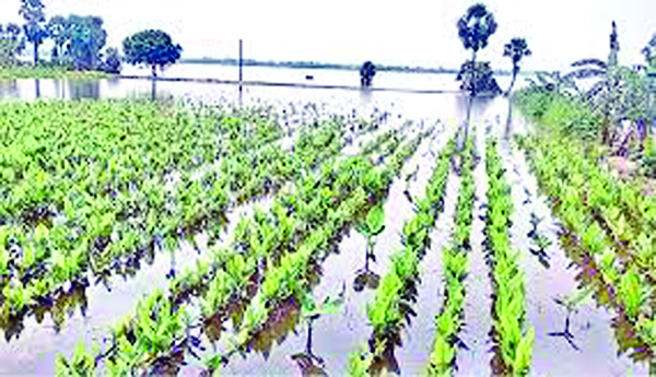 When-will-the-lands-of-Lanka-be-taken-care-of