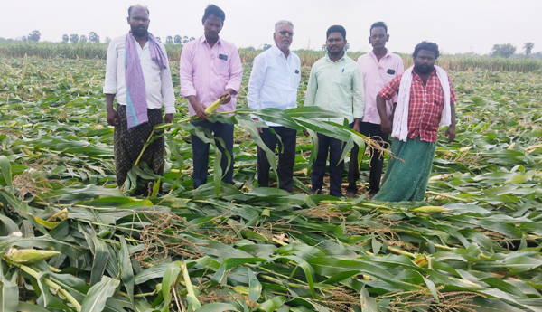 demand-help-to-crop-damage-farmers