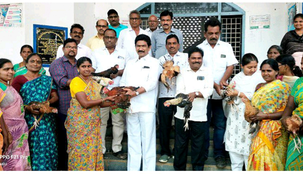 distribution-of-coks