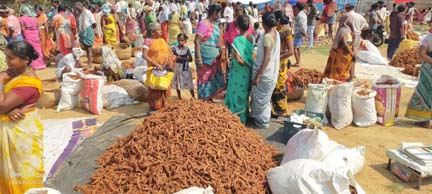 ధర లేక రైతుల 'చింత'