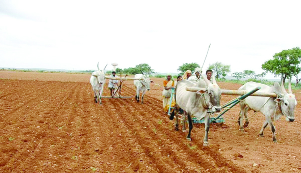Ten-lakh-acres-fallow