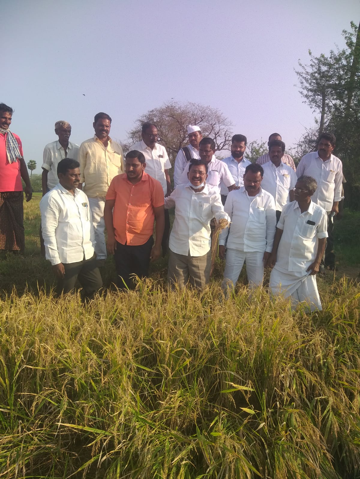 బాధిత రైతులను ఆదుకుంటాం..