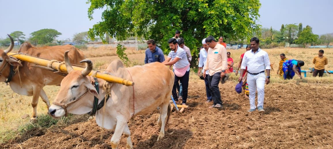 పొలంలో విత్తనాలు వేస్తున్న దృశ్యం