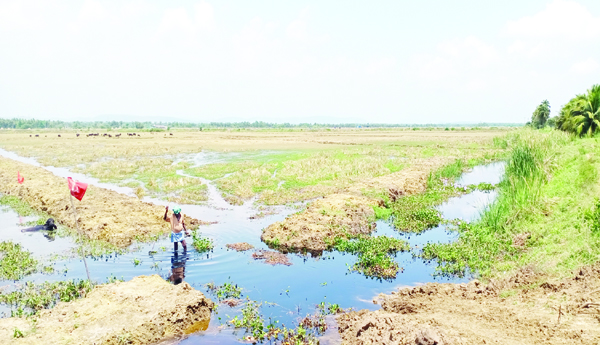 The-eyes-of-power-leaders-on-pond-lands