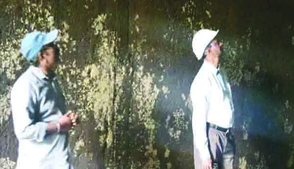 విద్యుత్‌ ఉత్పత్తి పునరుద్ధరణ