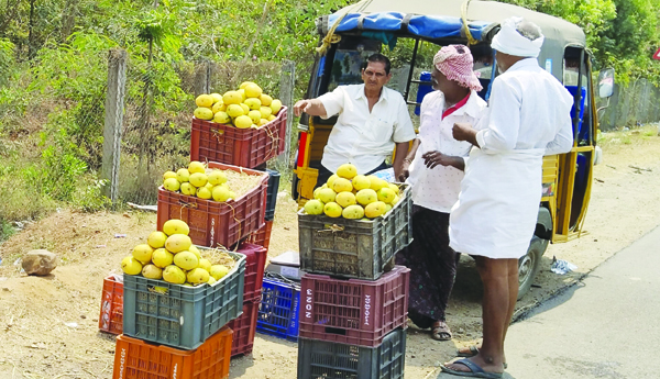 మధురఫలం.. బహుప్రియం