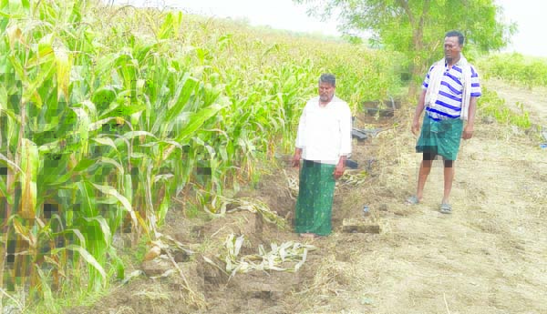 నా భూమిని ఆక్రమిస్తున్నారు: ఓ రైతు ఆవేదన