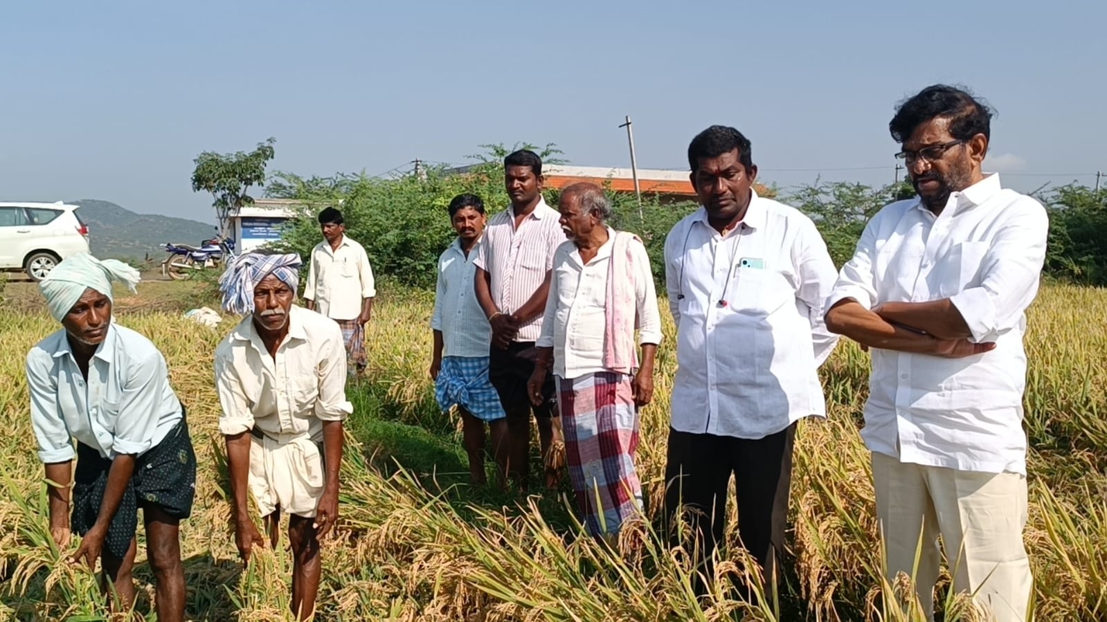 పంటపొలాల్లో సోమిరెడ్డి పరిశీలన