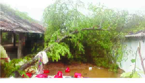 డౌన్‌ సిండ్రోమ్‌పై అవగాహన ఉండాలి