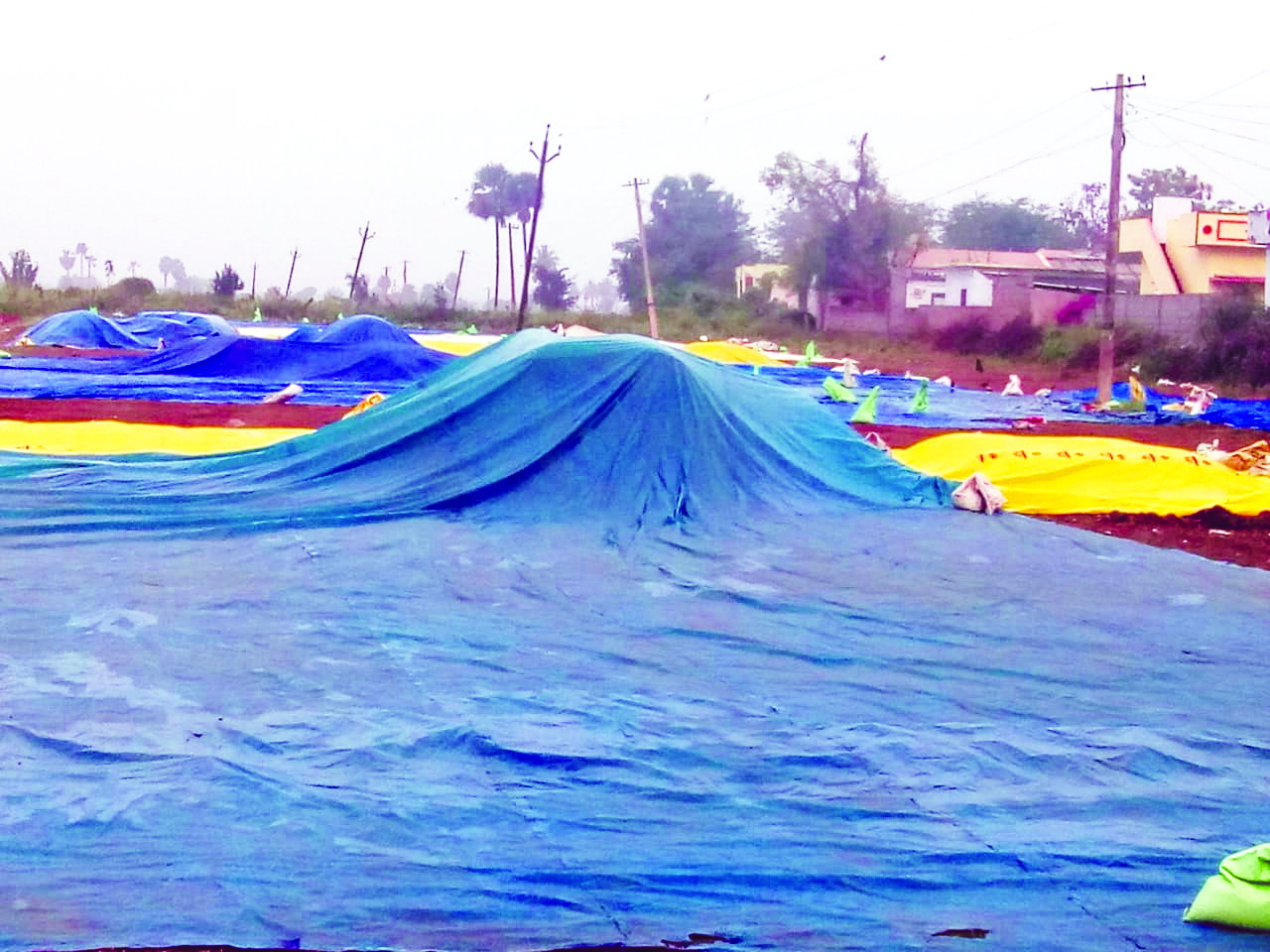 భారీ వర్షంతో రైతుల ఆందోళన