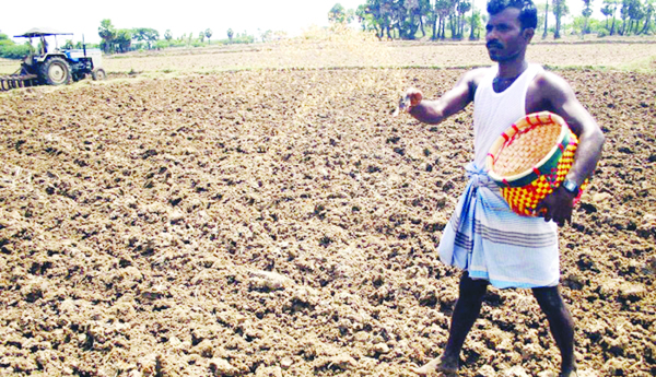 A-looming-seed-subsidy