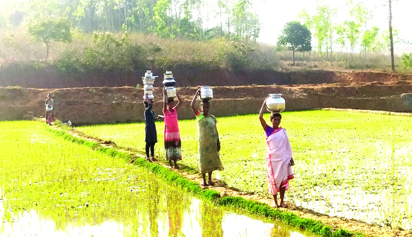 తాగునీటికి అవస్థలు