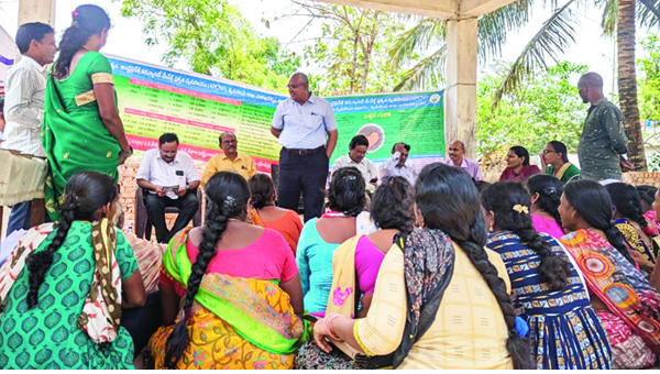 తర్లువాడలో చిరుధాన్యాలపై అవగాహన