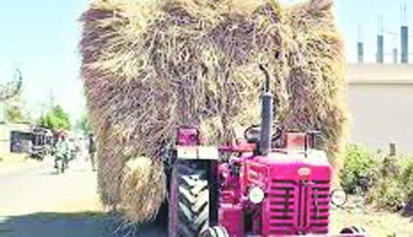 వరిగడ్డి కొరతతో అవస్థలు