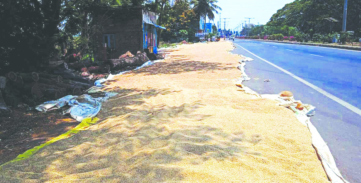 జాతీయ రహదారిపై ధాన్యం ఆరబోత