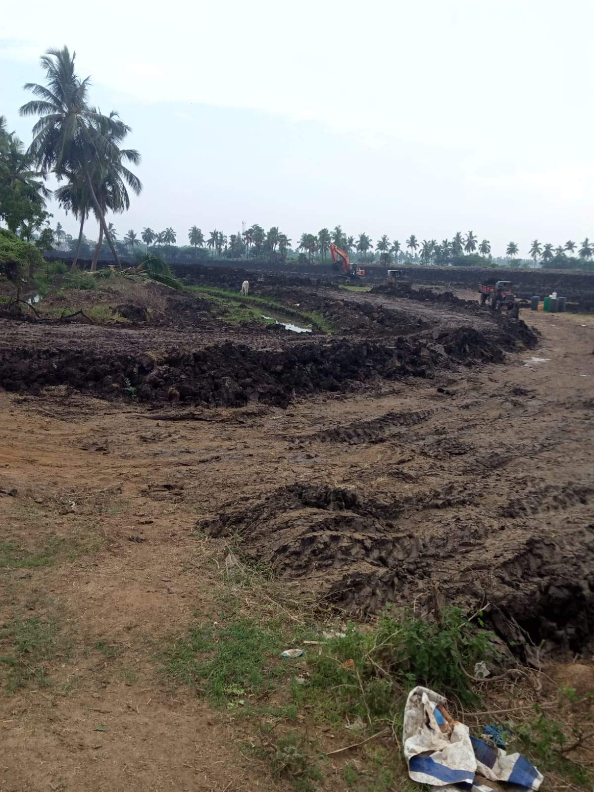 ఆక్వా చెరువు అక్రమతవ్వకాలు ఆపాలి