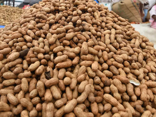 వార్షిక విత్తన ప్రణాళిక సిద్ధం