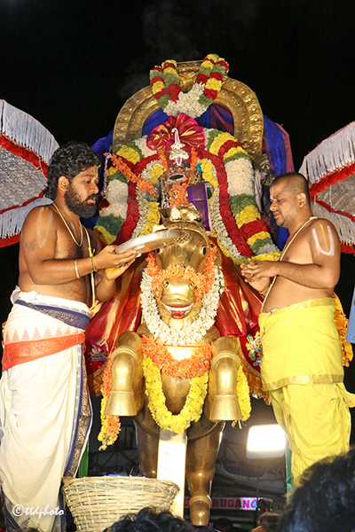 అశ్వవాహనంపై శ్రీకోదండరాముడు