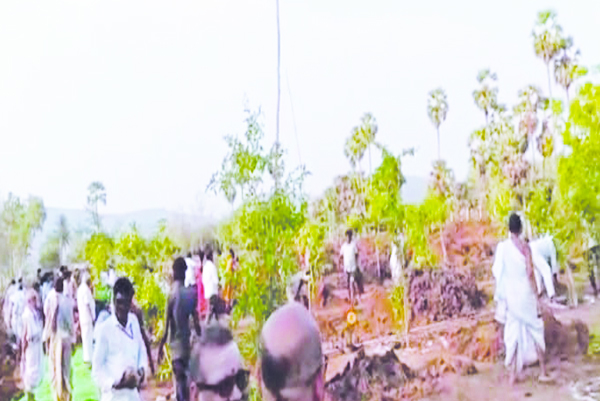 సత్య దేవుని మాన్యాల్లో వనమహౌత్సవం