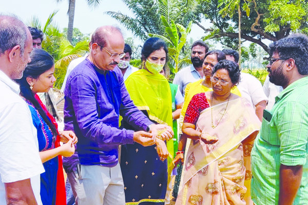 జి.మేడపాడులో బొండాలు సాగు, దిగుబడు పరిశీలన